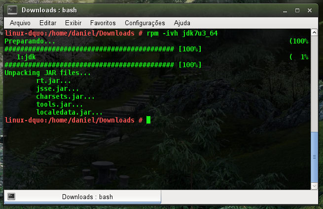 Instalando JDK via RPM