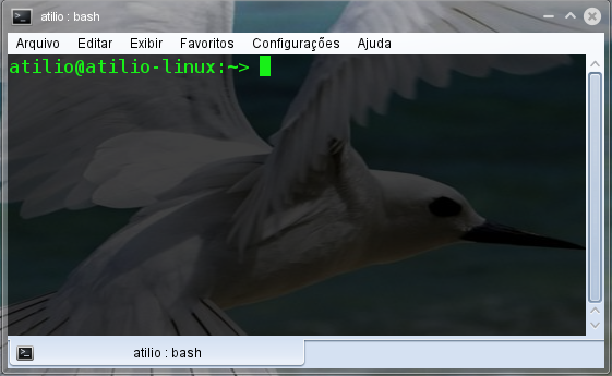 Terminal Transparente