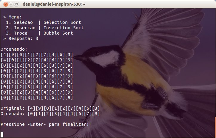 Imagem do Programa rodando no Linux